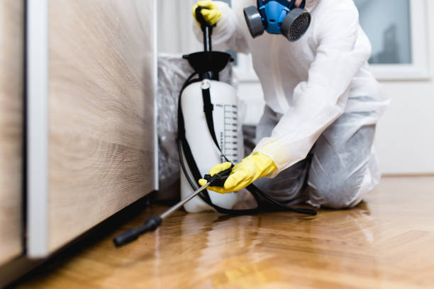 Best Pest Removal Services  in Fort Lupton, CO