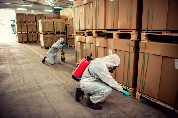 Best Best Pest Control Companies  in Fort Lupton, CO