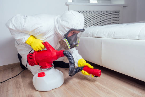 Best Local Pest Control Services  in Fort Lupton, CO