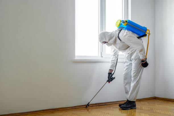 Pest Prevention Services in Fort Lupton, CO