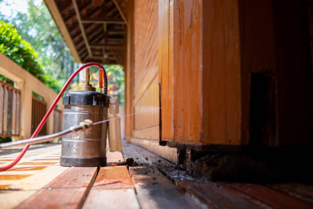 Best Best Pest Control Companies  in Fort Lupton, CO