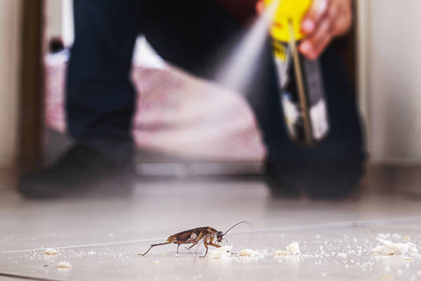 Best Best Pest Control Companies  in Fort Lupton, CO