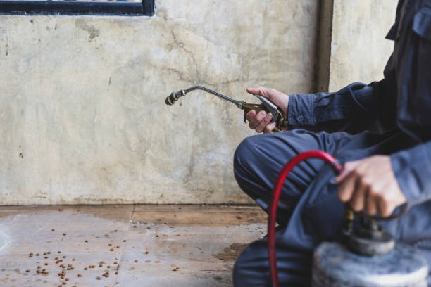 Best Pest Control Near Me  in Fort Lupton, CO