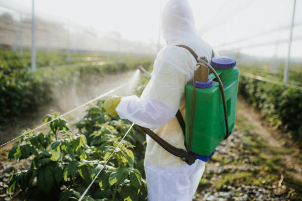 Best Residential Pest Control  in Fort Lupton, CO